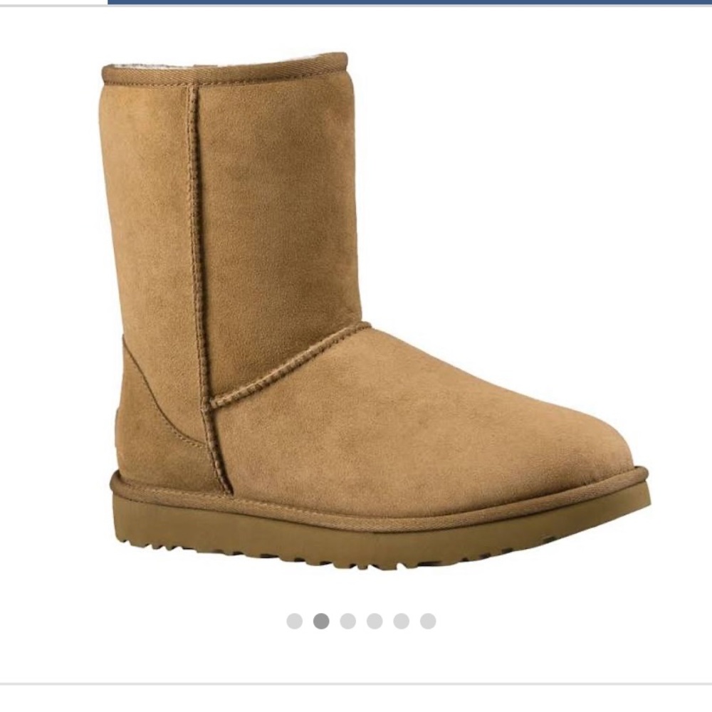 Short chestnut UGGs